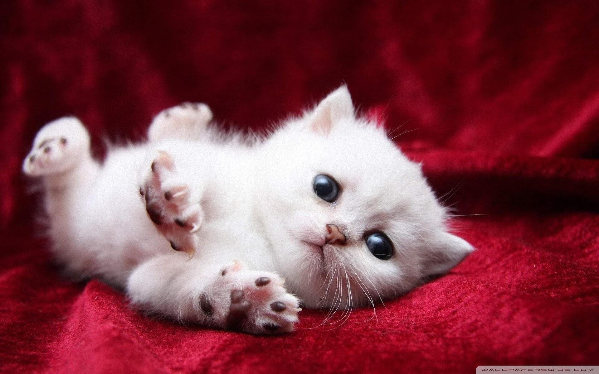 开云官网-中超精彩瞬间回放，激烈对抗不断升级，中超精彩集锦