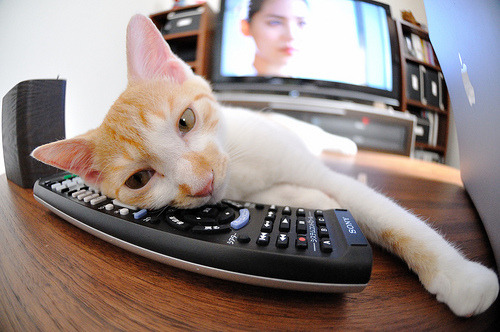 开云平台-中国足球青训体系全面升级，培养未来世界级球员，中国足球青训体制