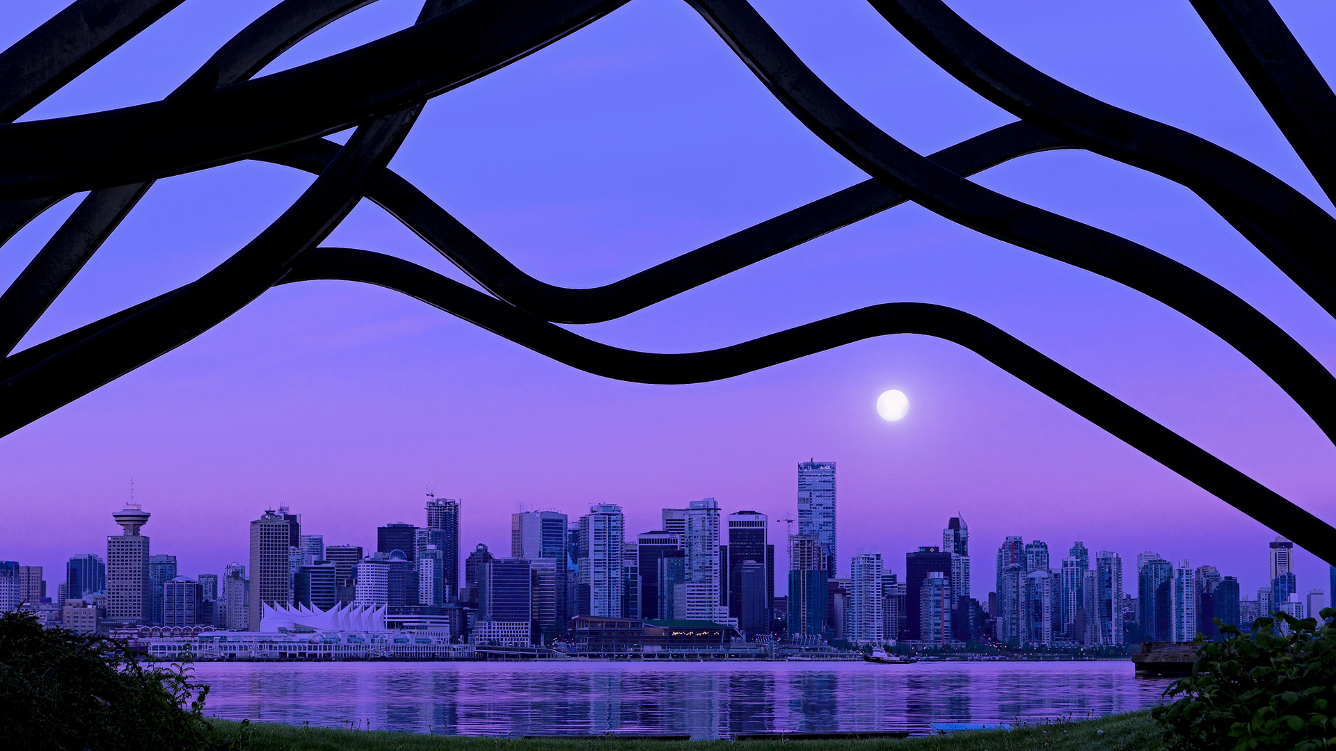 夺冠之路：冠军的成长历程纪录片，回顾夺冠