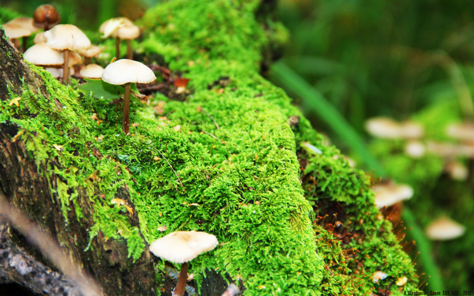 教练分析:战术创新的背后逻辑,战术创造性组合