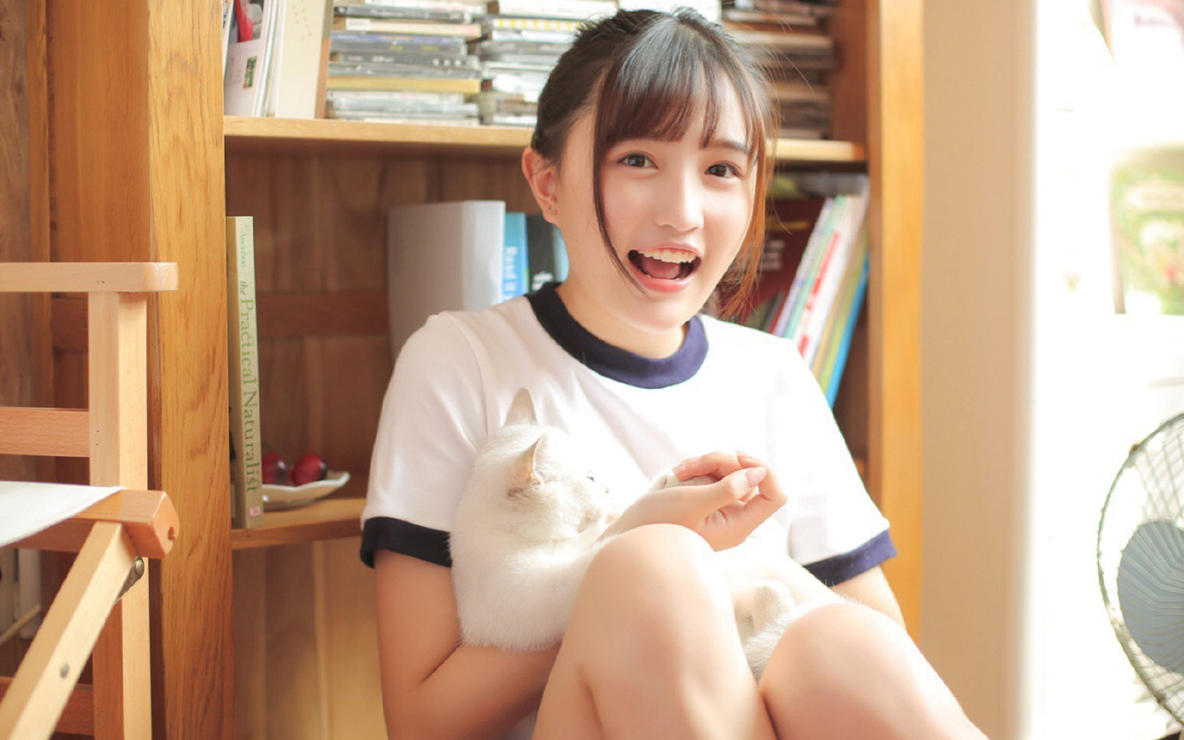 特色彩色沙滩排球，青春色彩绽放的运动舞台，沙滩排球场景