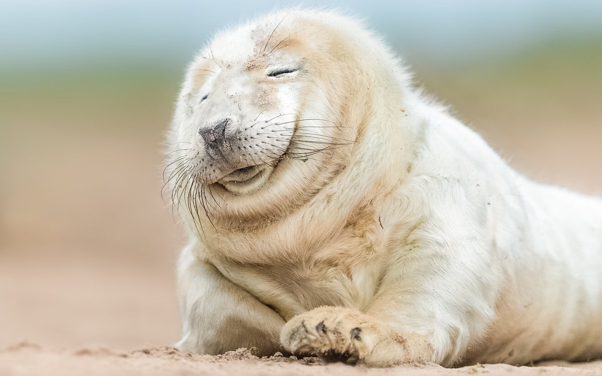 特辑:联盟历史上的极端比赛回顾,联盟史上最精彩bo5