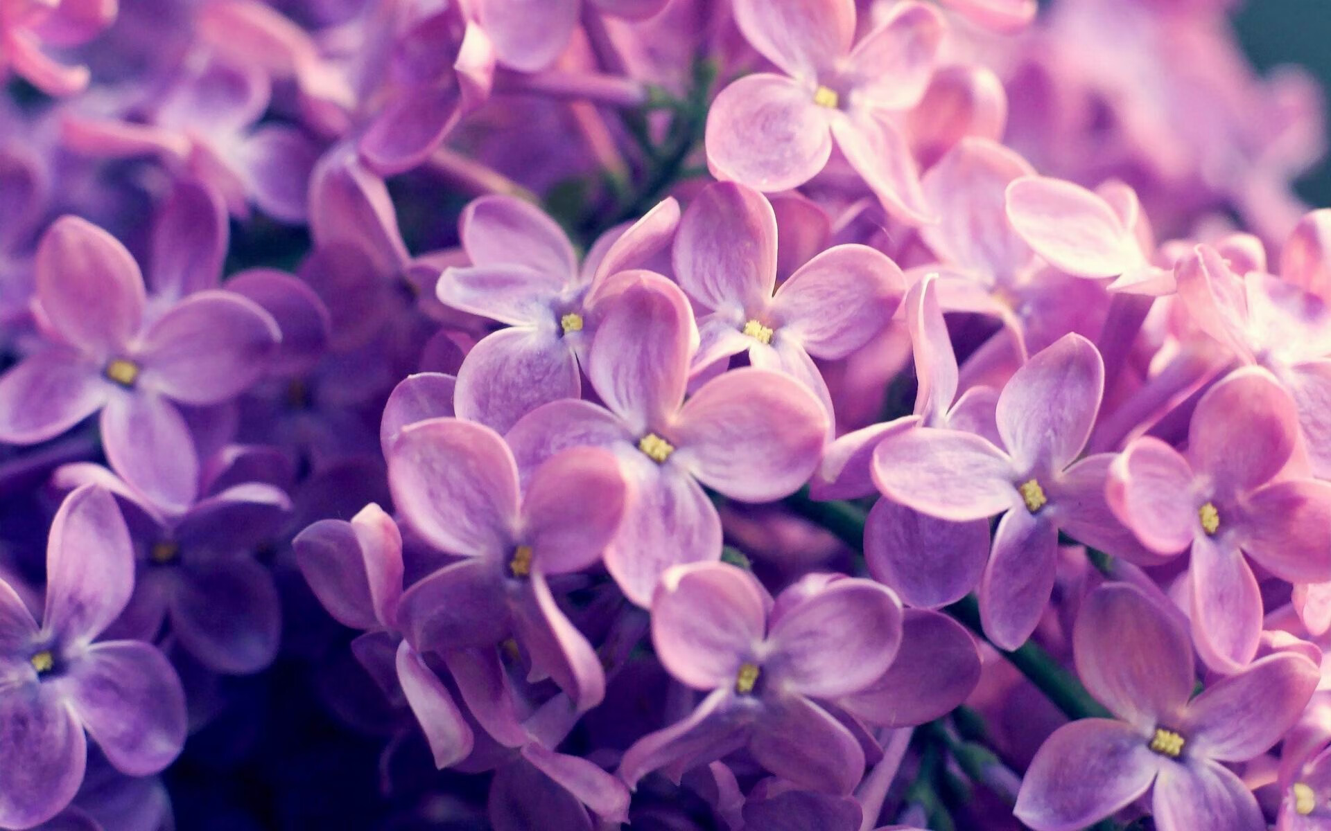 特色篮球文化展在多地巡展,弘扬青春体育精神,篮球特色学校展板