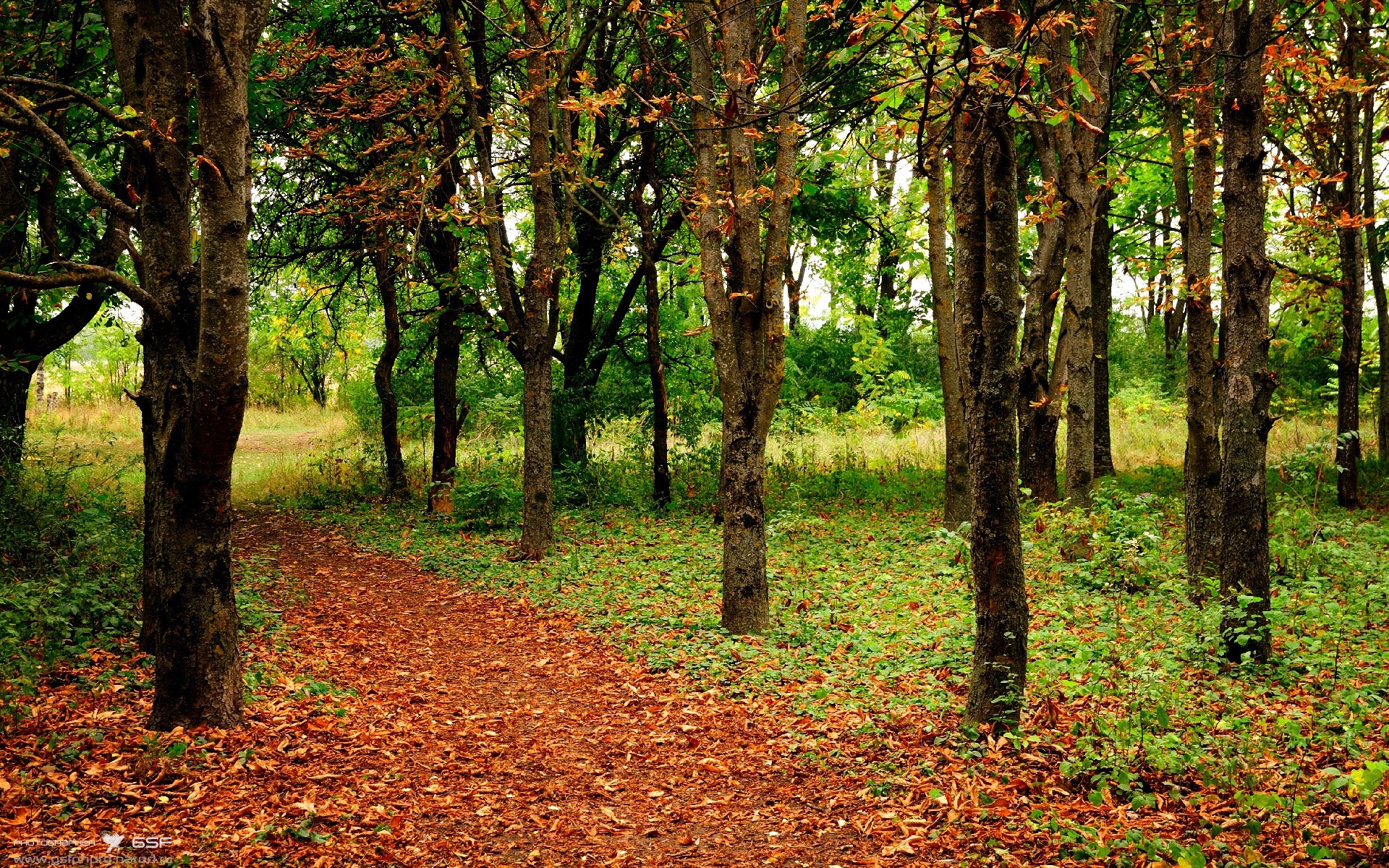 西甲冠军争夺,专家点评亮点,西甲 冠军