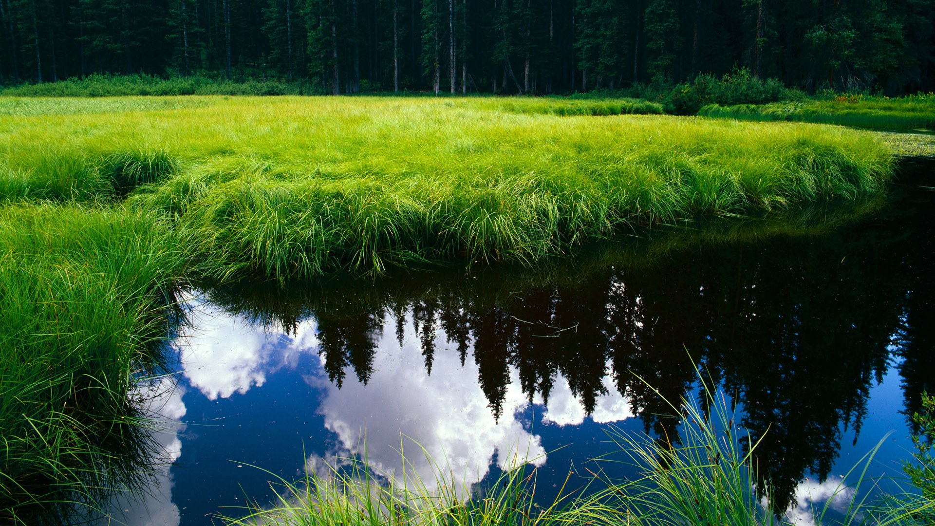 趣味障碍跑挑战赛，考验体力与智力的完美结合，趣味障碍赛游戏