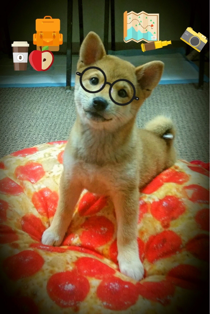 开云平台-中国女足在比赛中展现出坚韧意志，中国女足拼搏精神