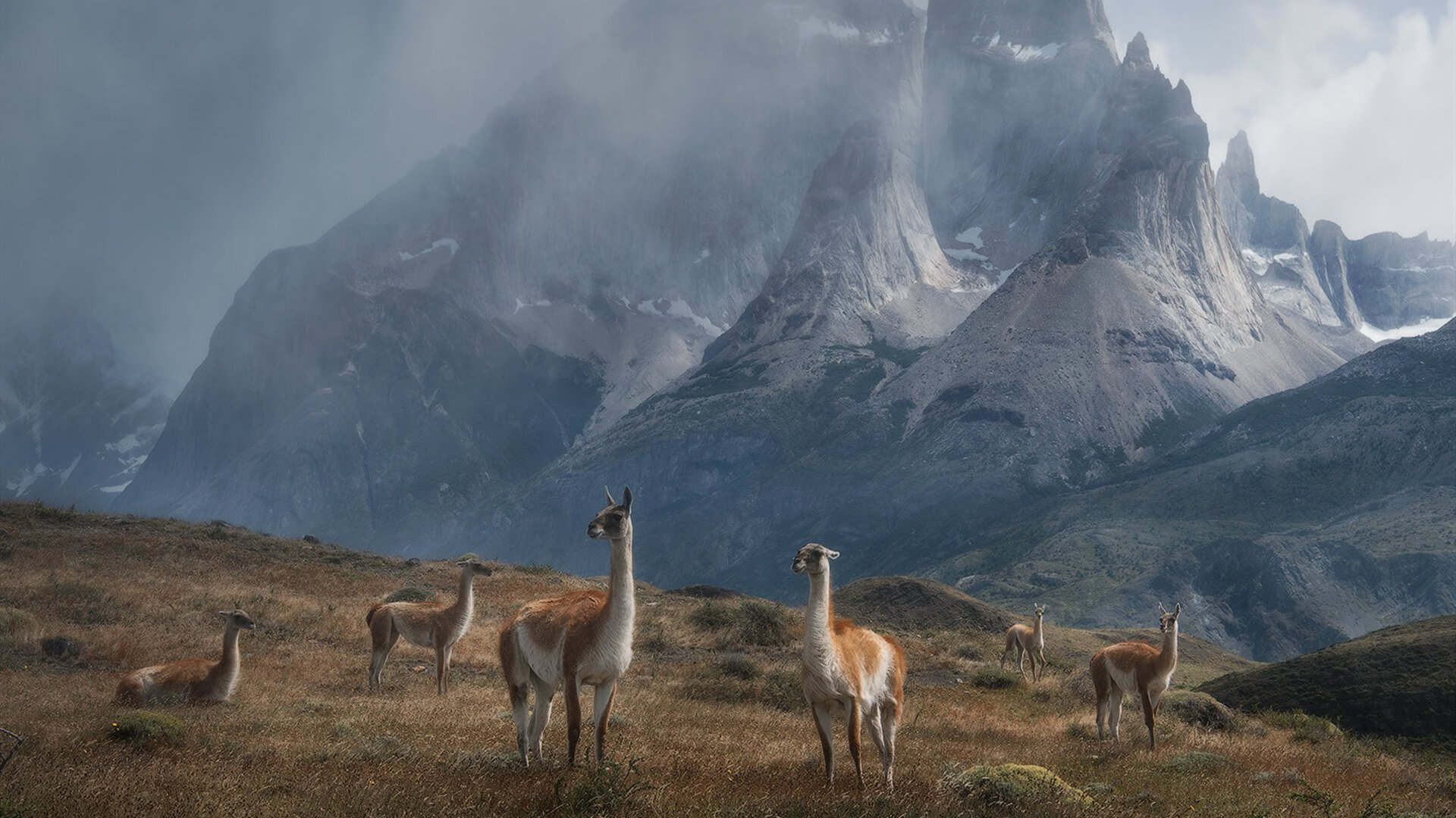 上海申花主场获胜，继续向积分榜前三位置发起冲击，上海申花2021主场