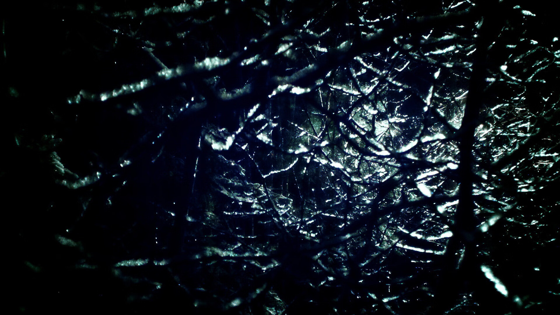 KAIYUNAPP-中国击剑男花团队世界排名升至第二，击剑男花国家队