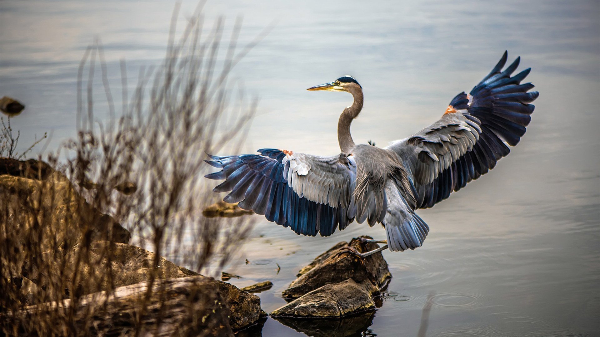 中国跳高新星刷新个人最佳，挑战亚洲纪录在即，中国跳高高手