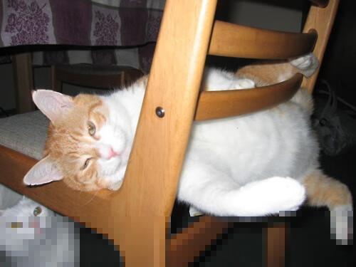 KAIYUN 中国大陆-原州东浦新世代比赛节奏控制稳定，原州东浦新世代今天比赛