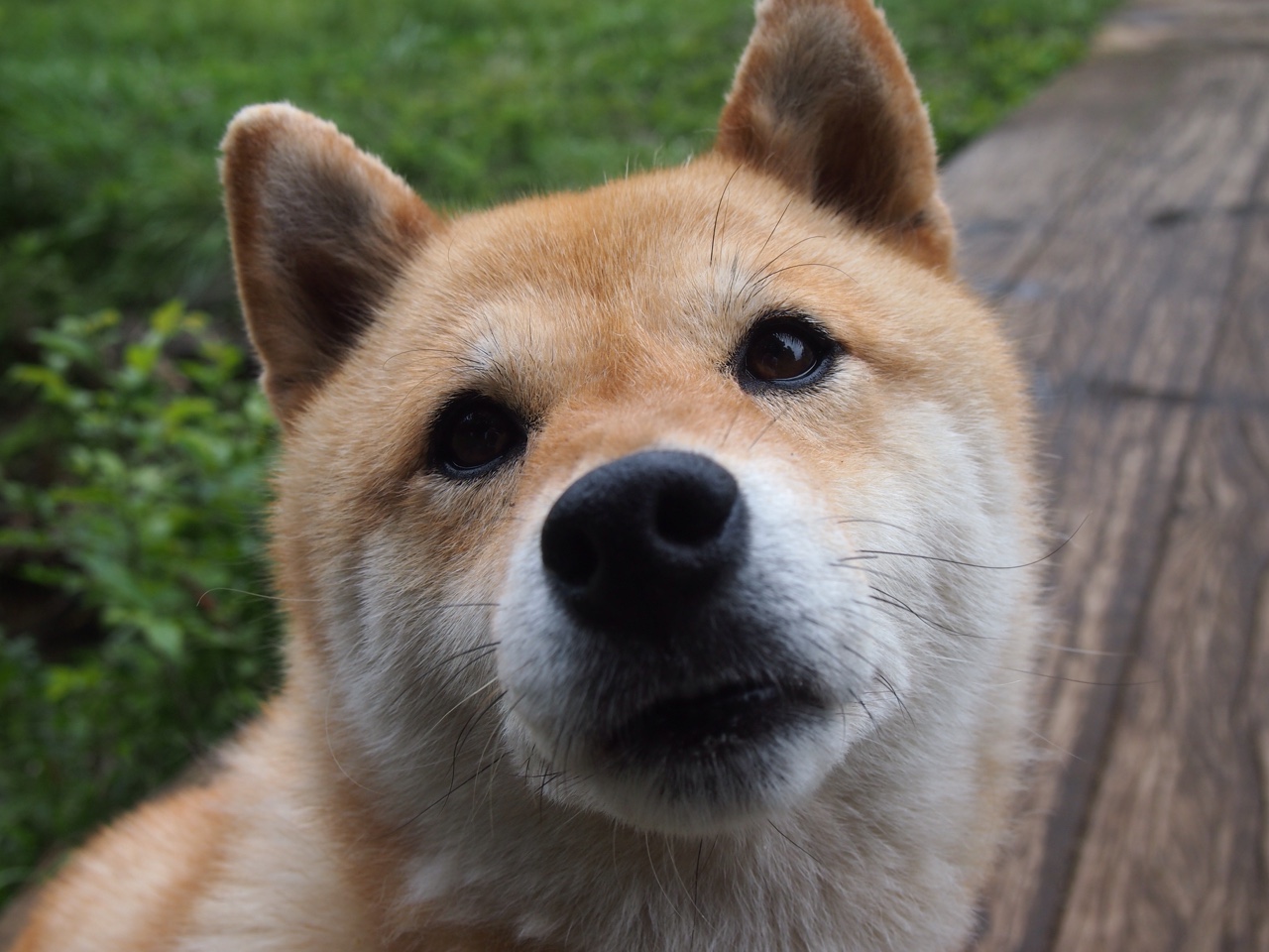 开云·体育官网APP下载-国家队训练基地建设是否达到国际水准，国家训练基地标准