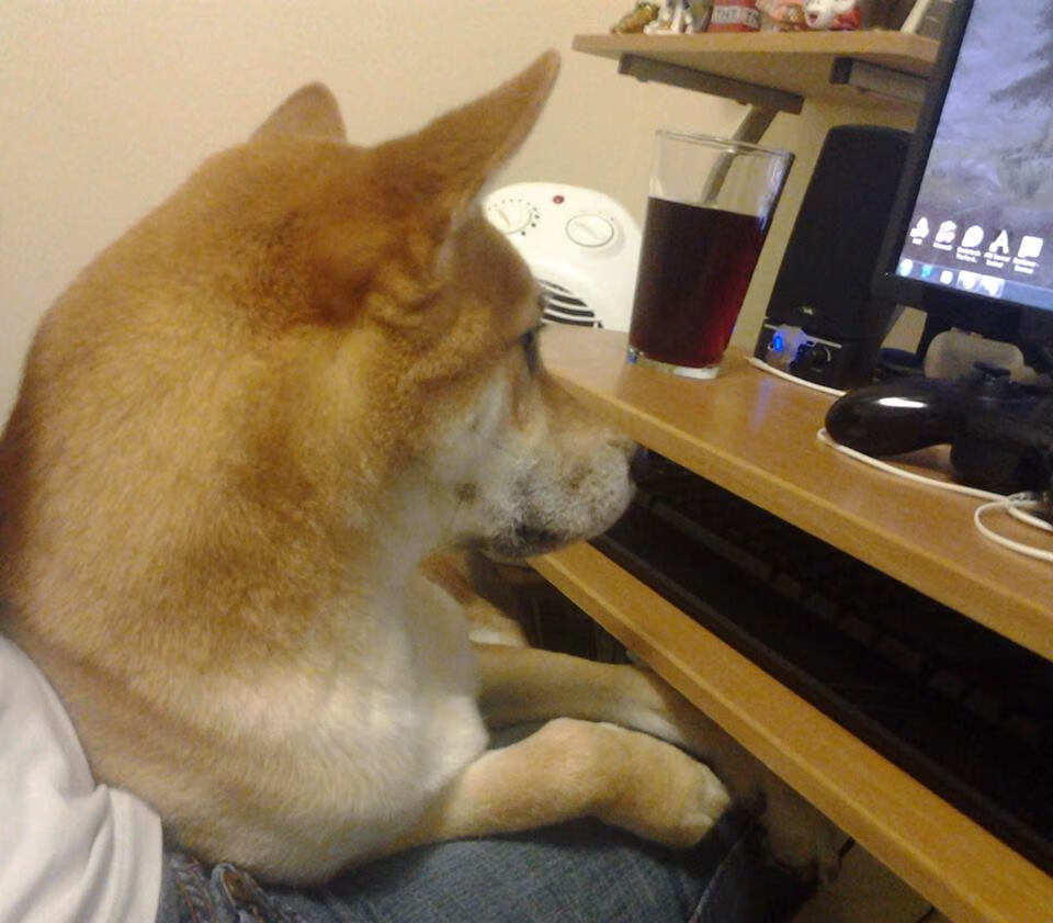 kaiyun登录入口-惊心动魄的比赛：双方实力对比让人无比期待，惊心动魄的比赛600字