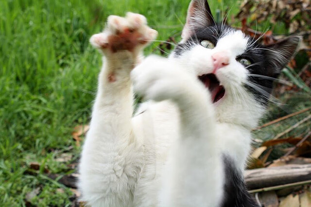 开云官方网站-火箭勇夺篮网，哈登火力全开季后赛争霸势不可挡，篮网逆转火箭登顶东部第一 哈登伤退