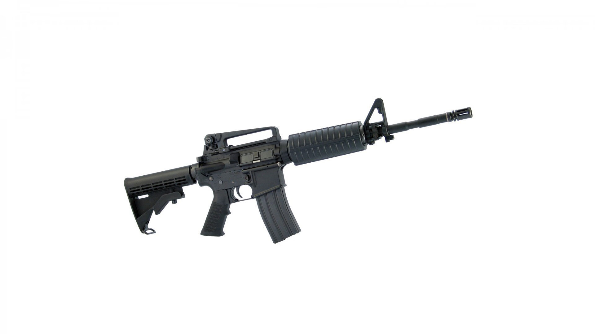 福建豹发力球员身体素质显著增强，福建豹发力阵容