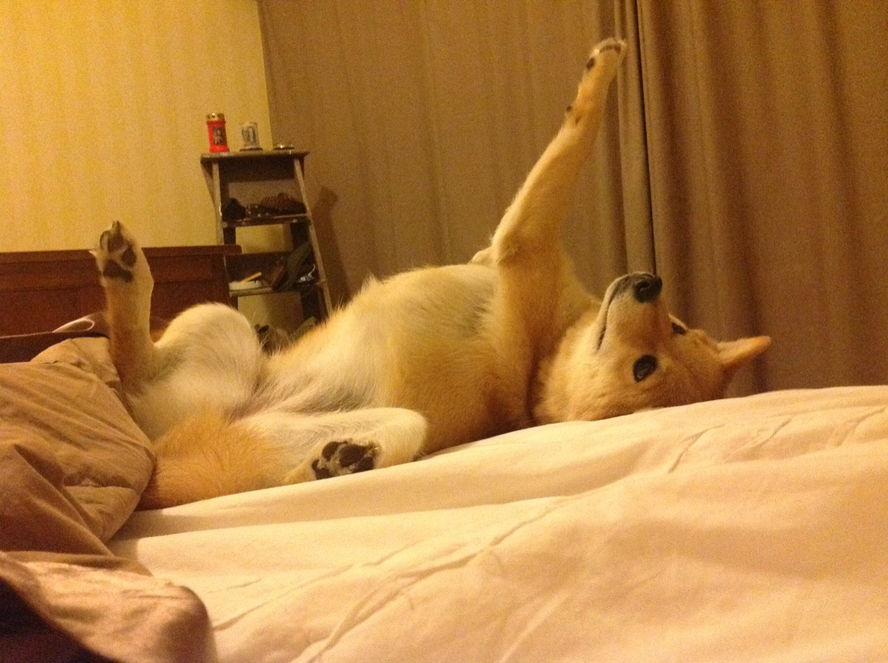 英国媒体：墨西哥是冬奥足球最大黑马，墨西哥男足东京奥运会