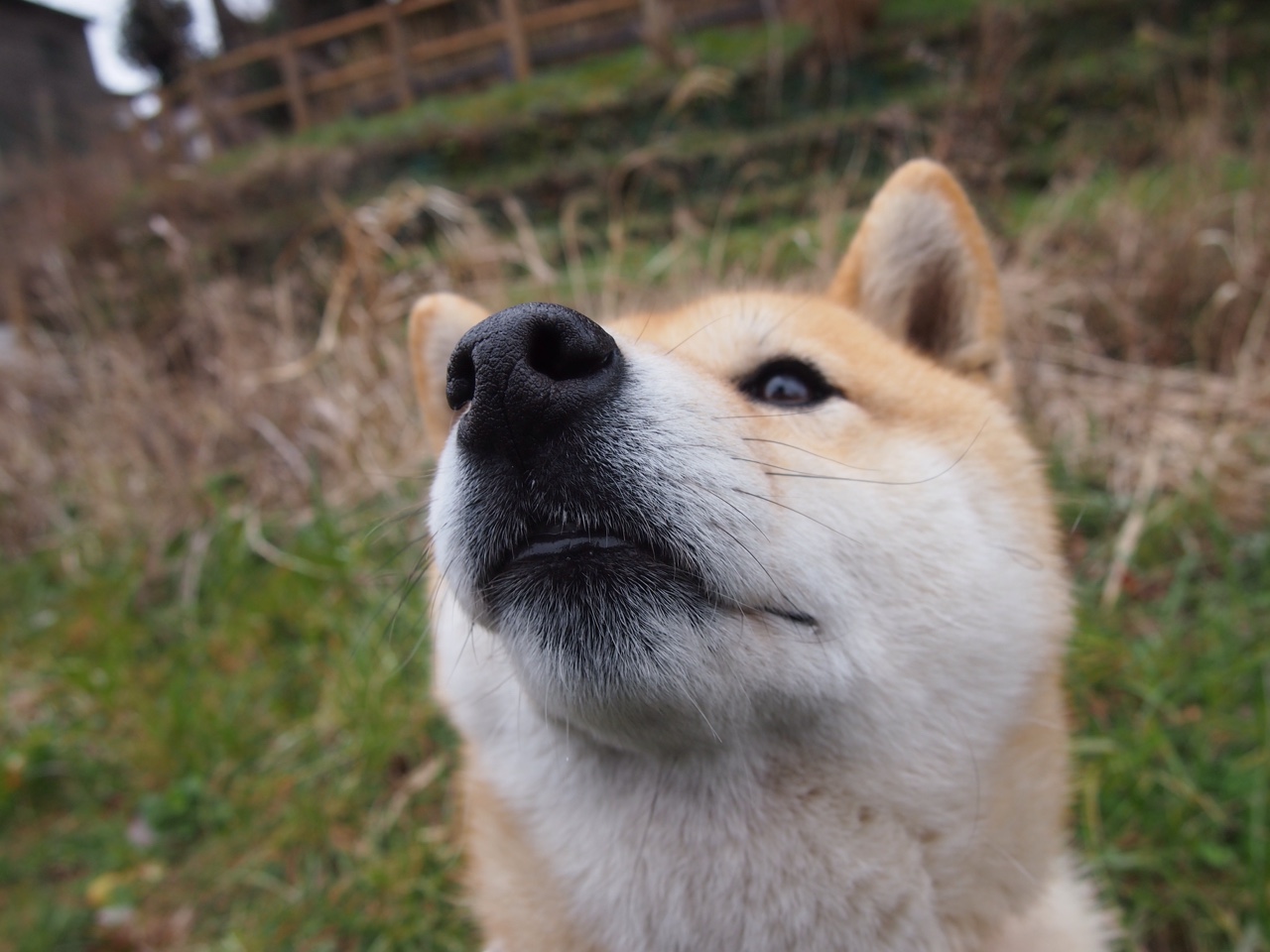 英雄的诞生:一名球员在比赛中成为全场焦点,英雄的诞生白寒