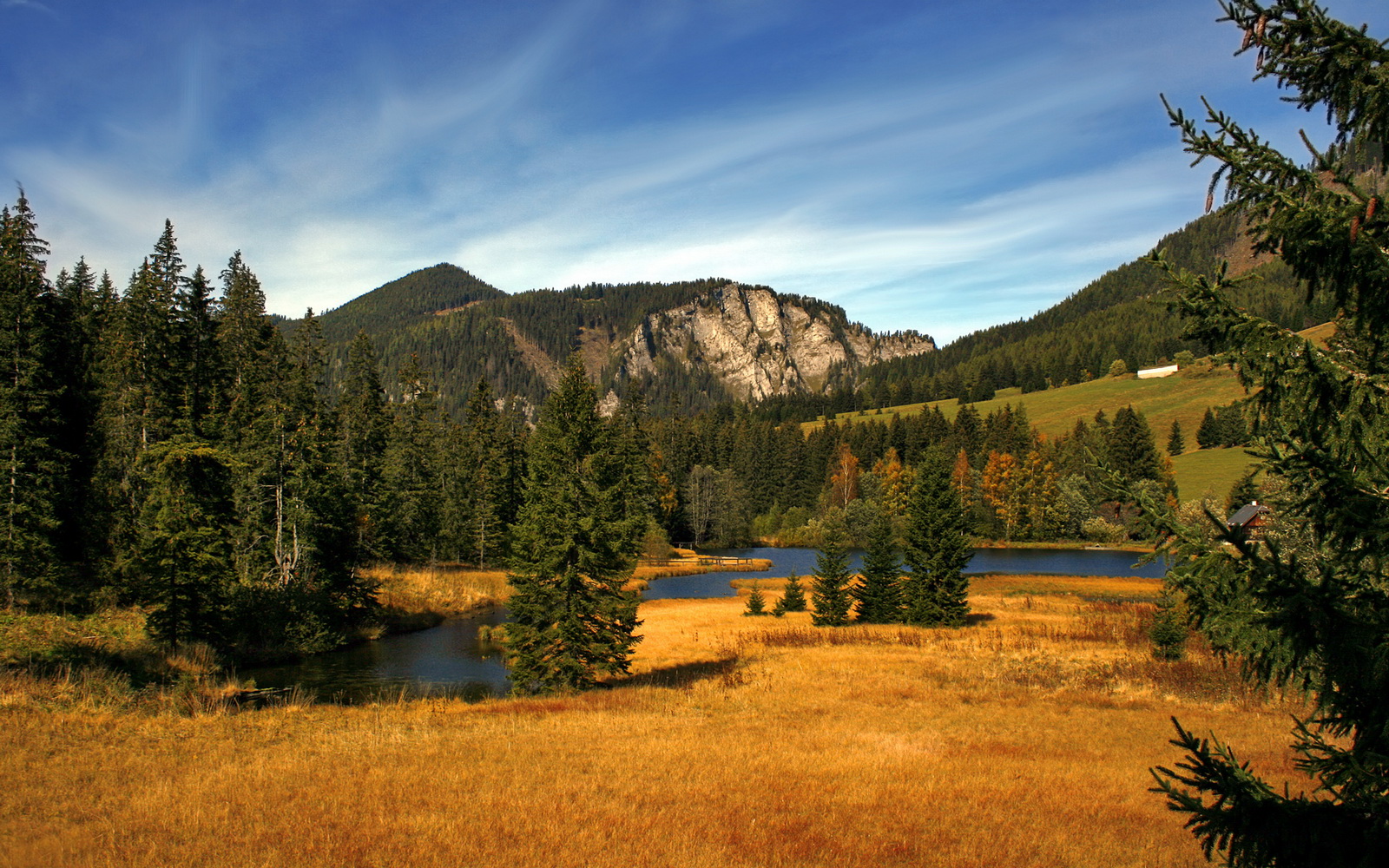 谢菲联体能储备充足，刀锋战士全力以赴保级
