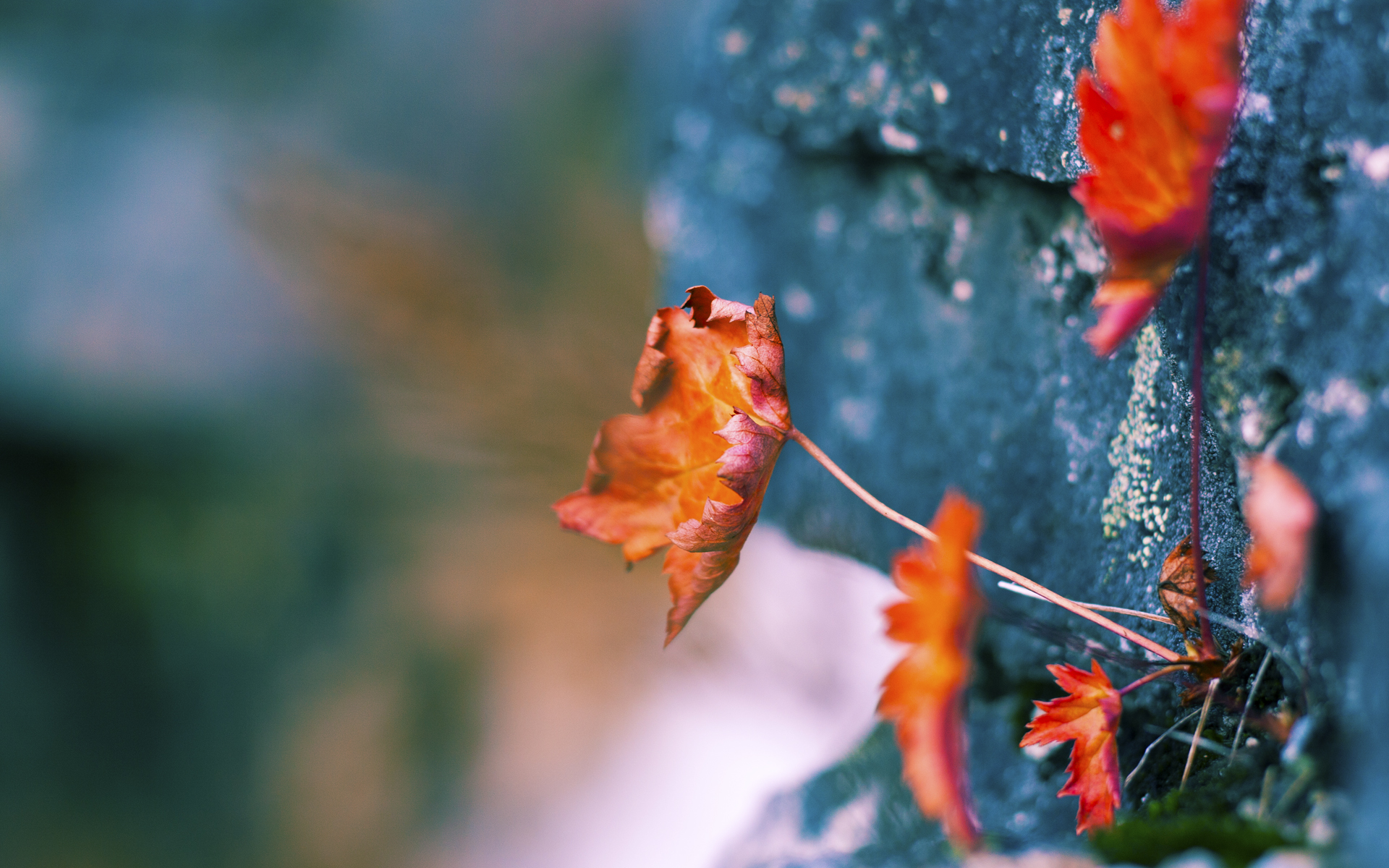 选手实力展现，最佳阵容揭晓女足比赛，女足最强