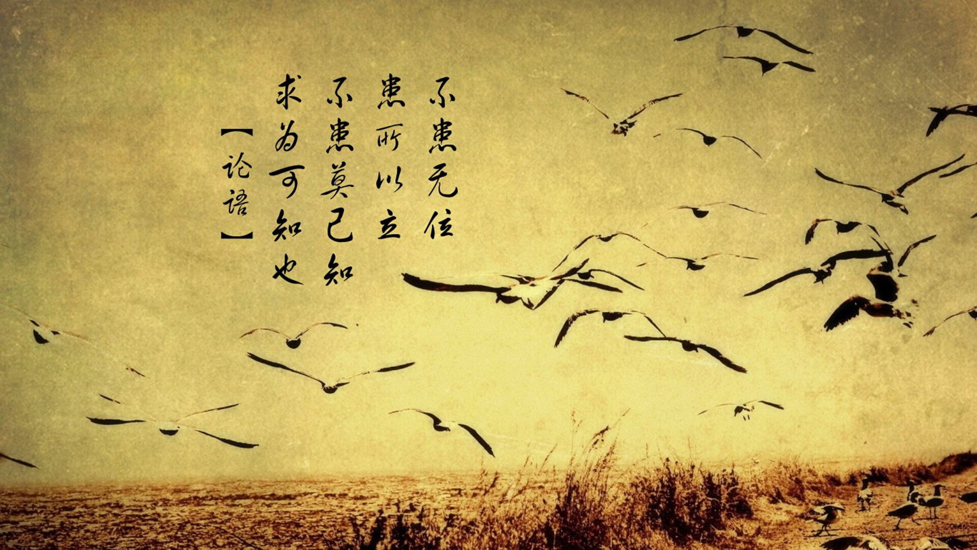 kaiyun体育综合-雄鹿主场不败纪录保住，对手难突破防线，雄鹿主场没输过