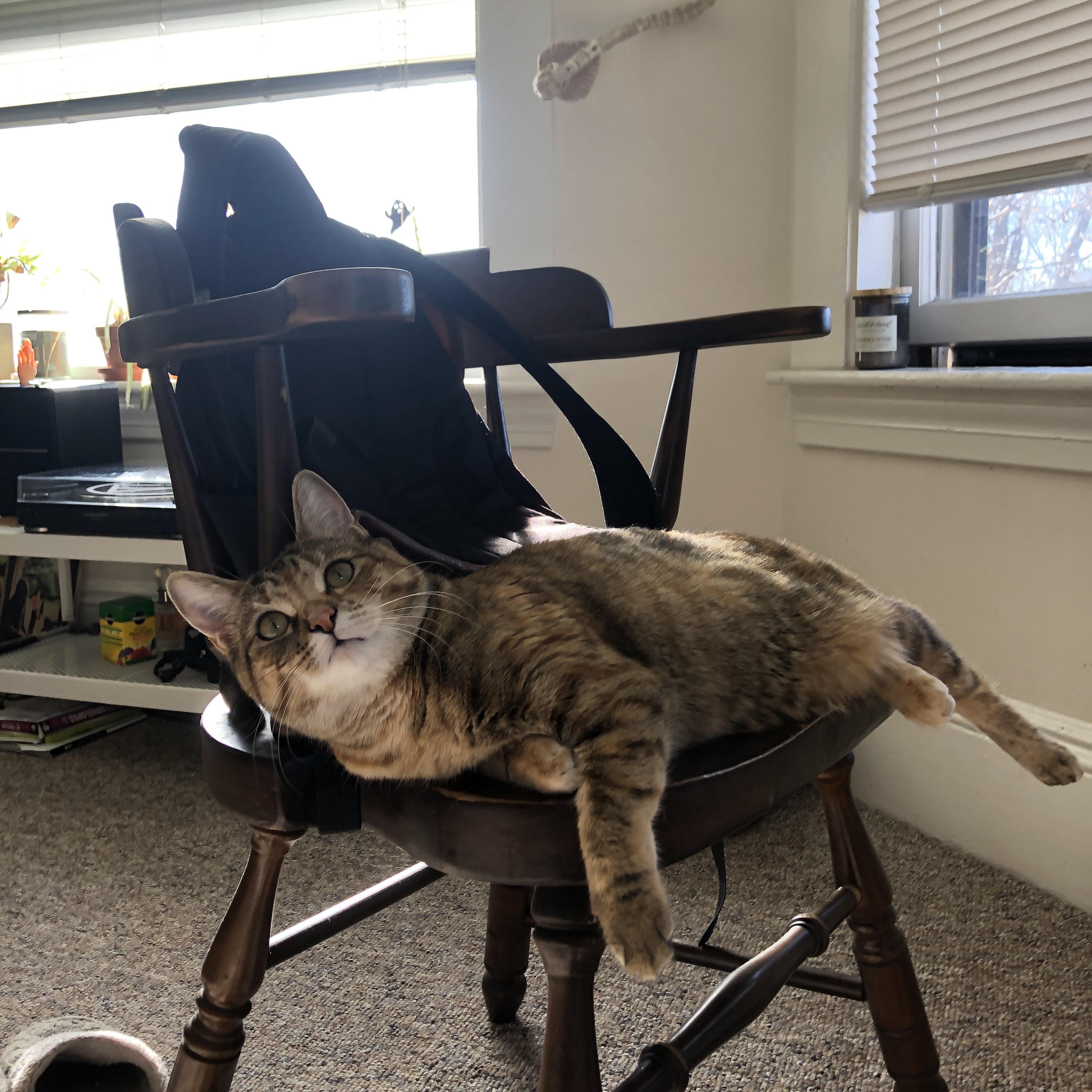 骑士队团队协作水平显著提高，骑士队团队协作水平显著提高的原因