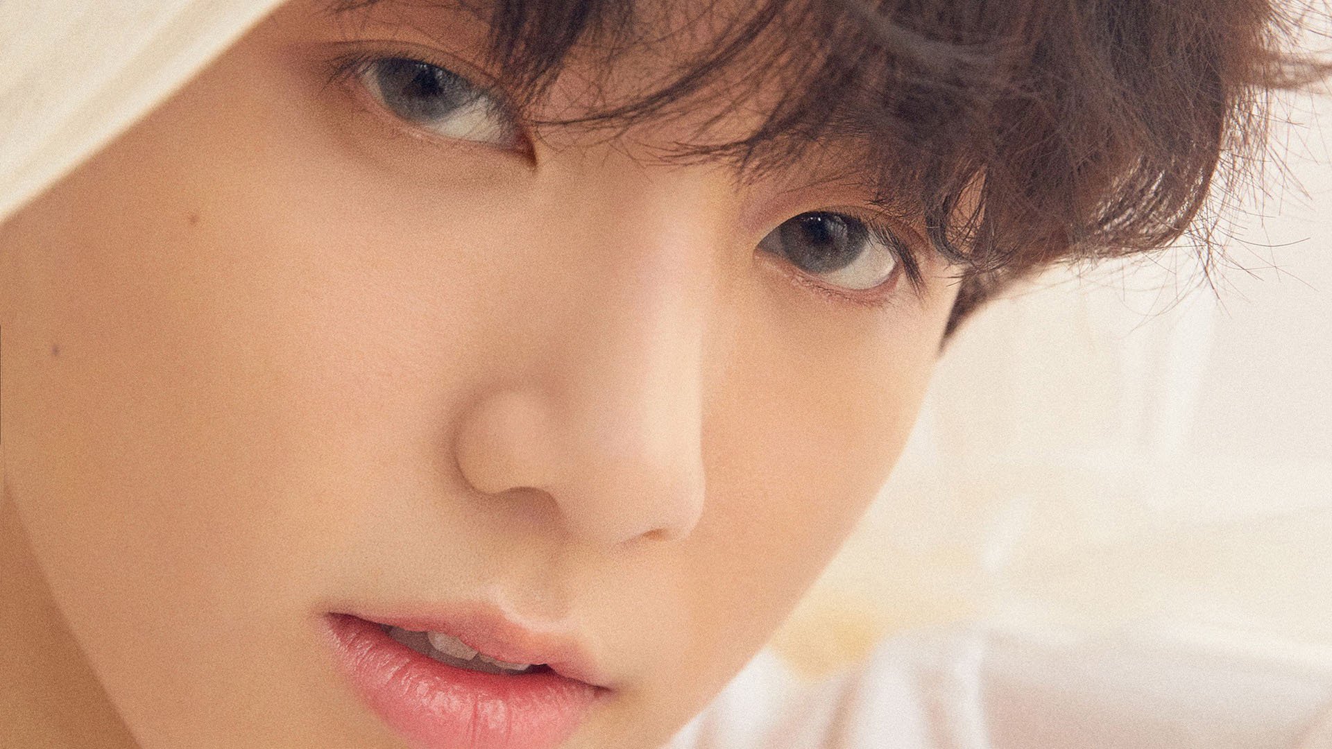 黄蜂球队球队主场表现持续提升，黄蜂球队名单