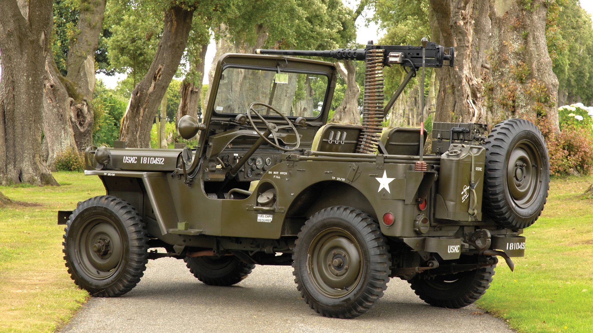 体育公益项目影响力持续扩大,体育公益组织