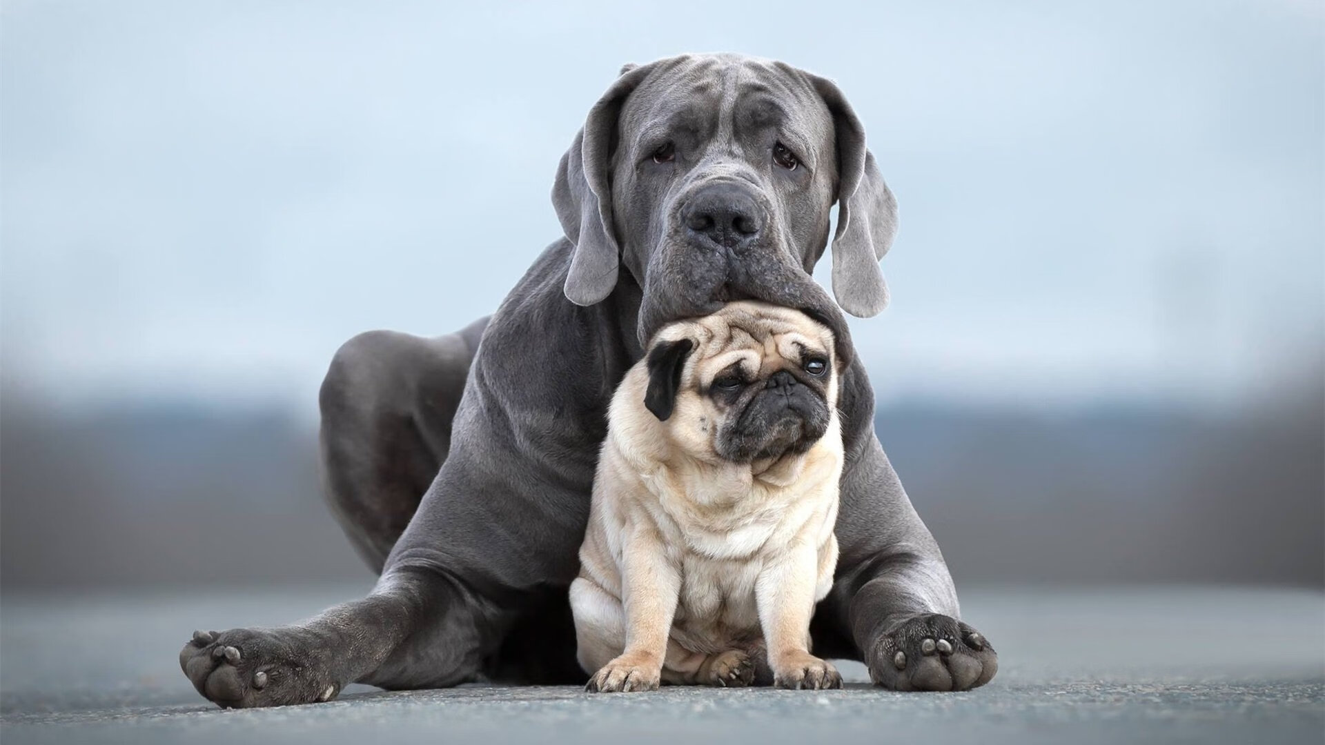 勇士二队新秀完成赛季首次三双表现，勇士第二阵容