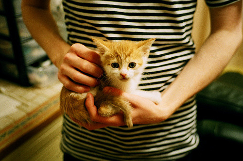 奥康纳从后场策动进攻,袋鼠队进攻套路更加丰富,奥康纳生平