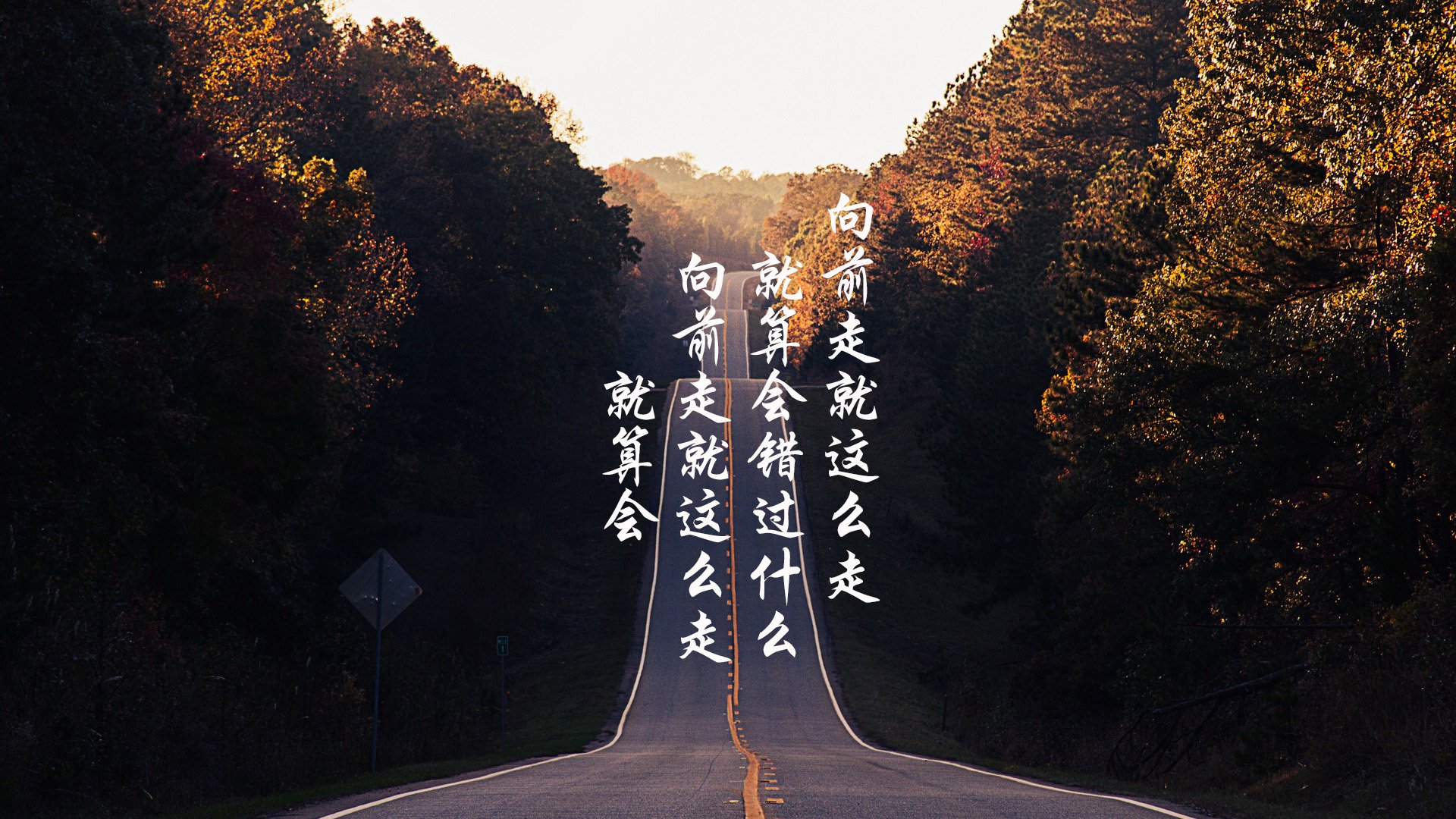 希腊女篮在欧洲锦标赛中夺冠,荣誉持续发展壮大,希腊篮球夺冠阵容