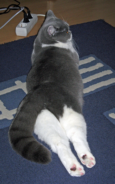 熬到天亮勇士训练结束贴片曝光