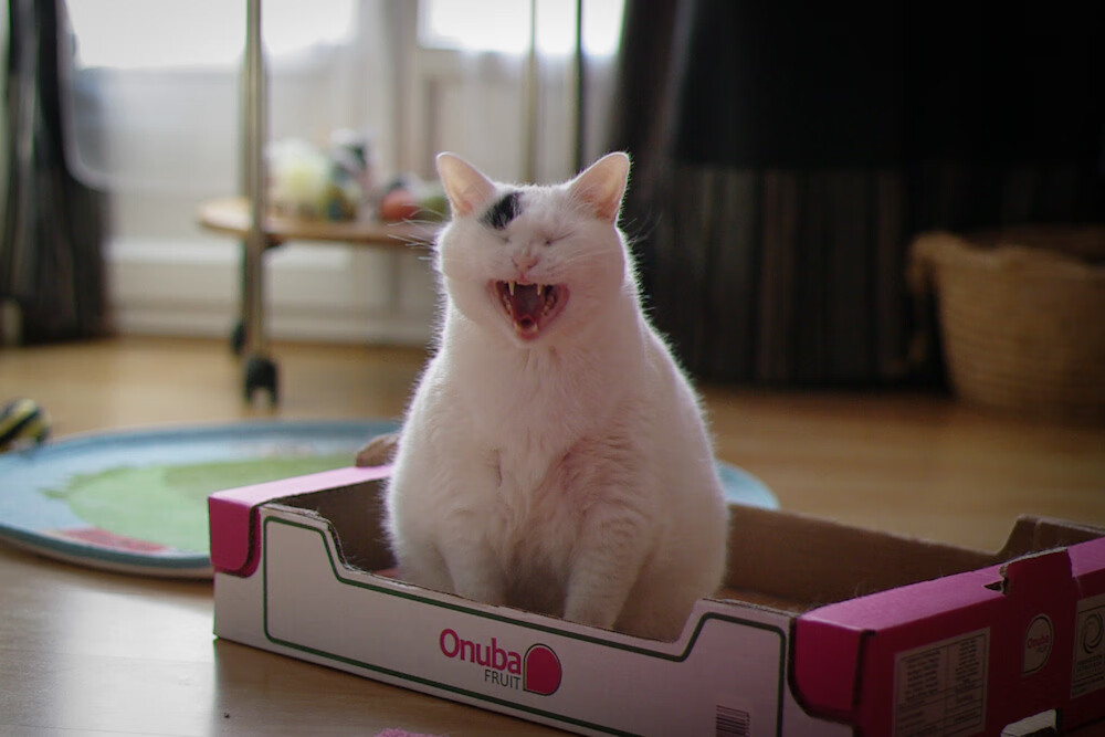 Kaiyun官方登录入口-英超疯狂反击：快节奏让场面热血沸腾，英超太强