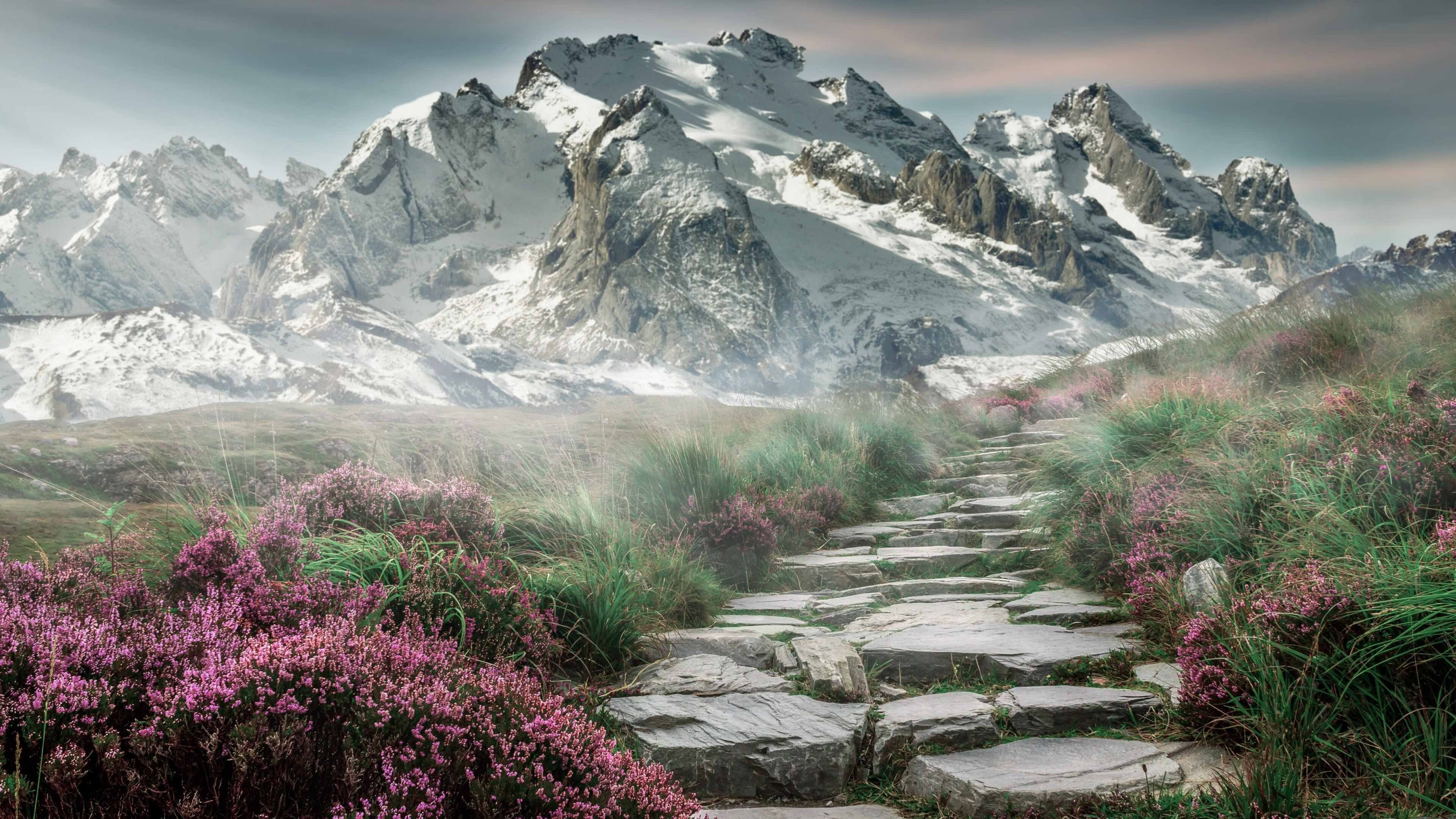 KAIYUN 中国大陆-袋鼠队进攻策略：依靠精准传球和个人突破实现有效进攻，袋鼠进攻梗