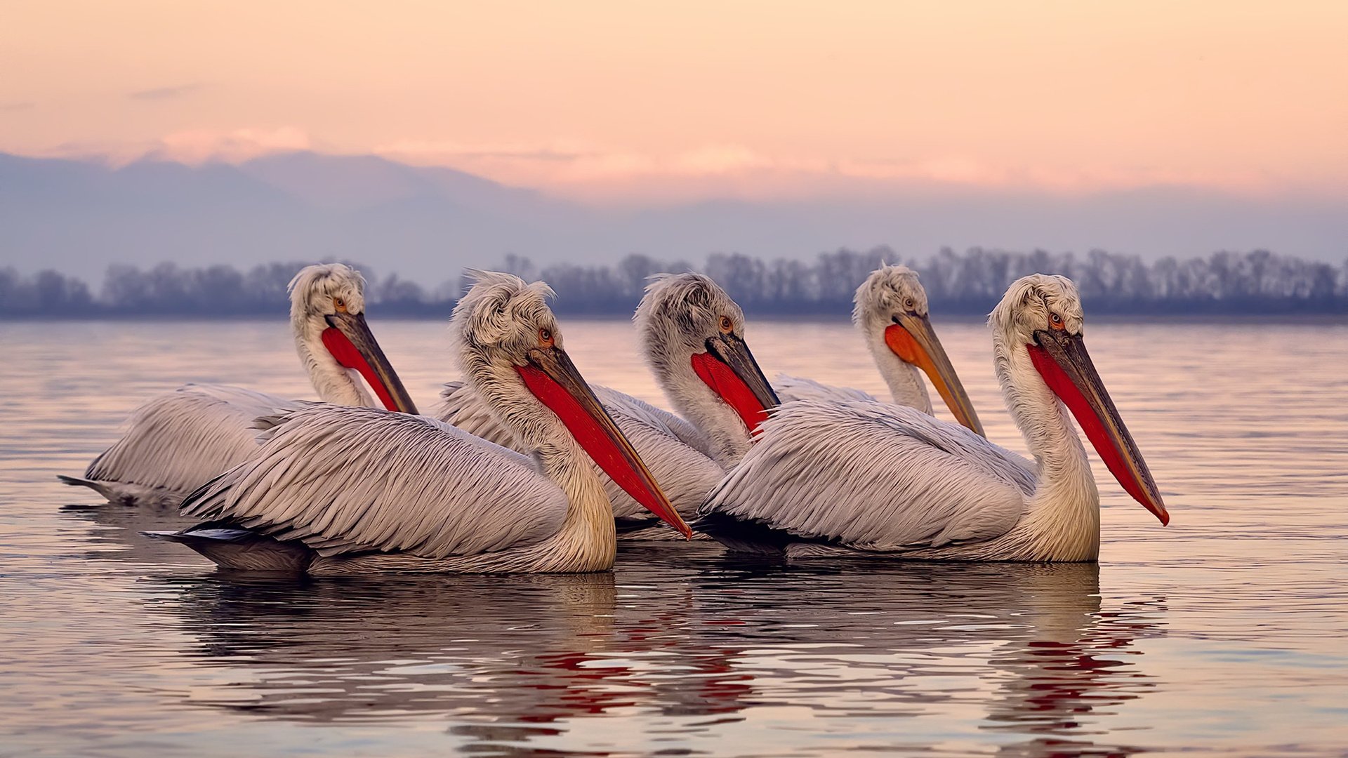 青少年足球研究课题启动支持校园足球发展决策，青少年足球比赛方案