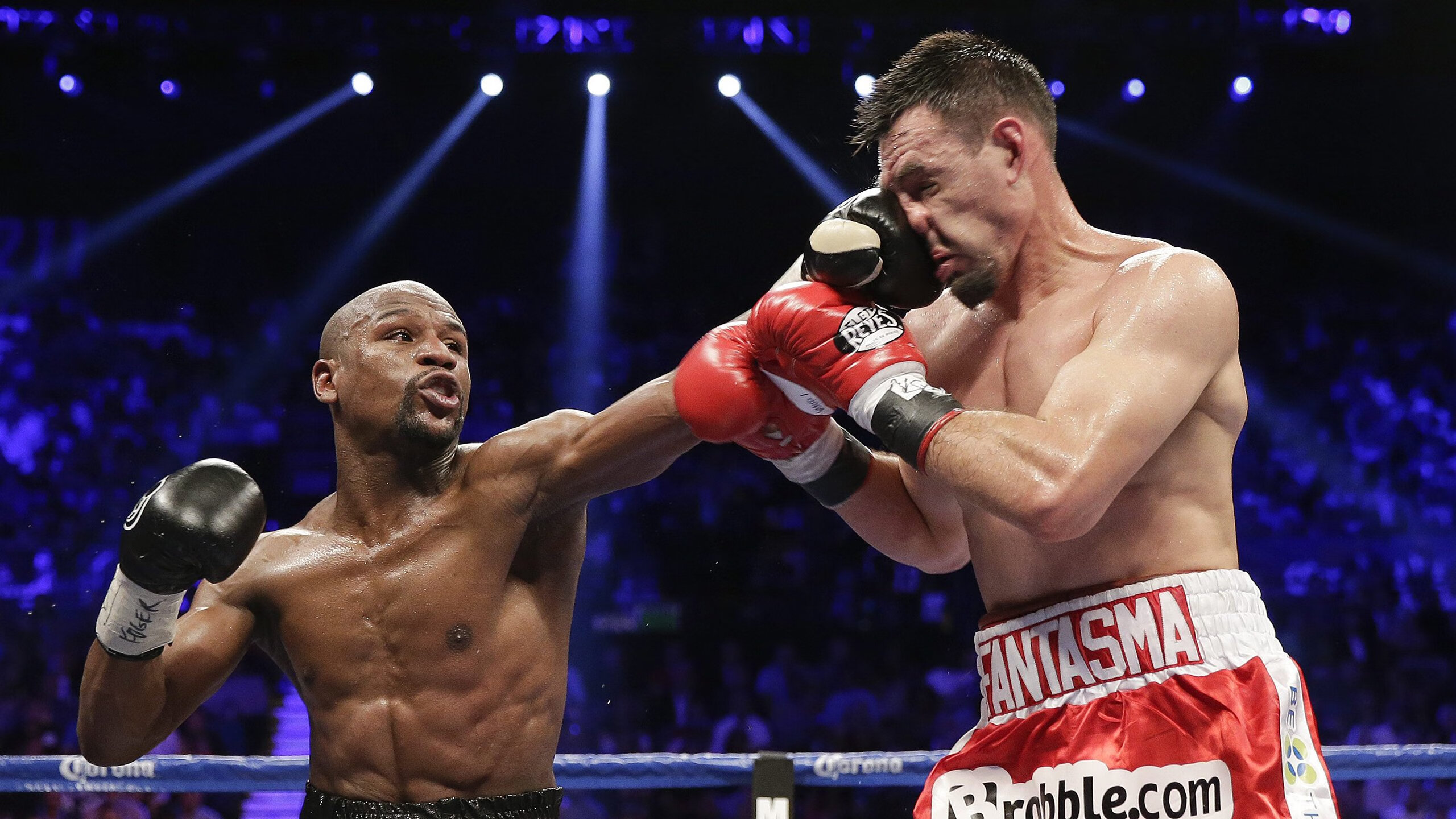 开云电子-青训体系与职业联赛脱节现象，体育青训体系